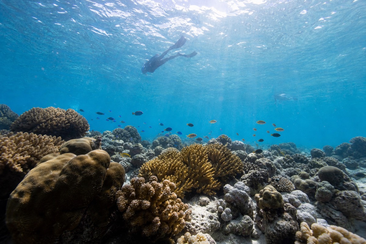 A guide swimming alongside a snorkeller in a flotation vest over shallow reef in calm, clear Caribbean water