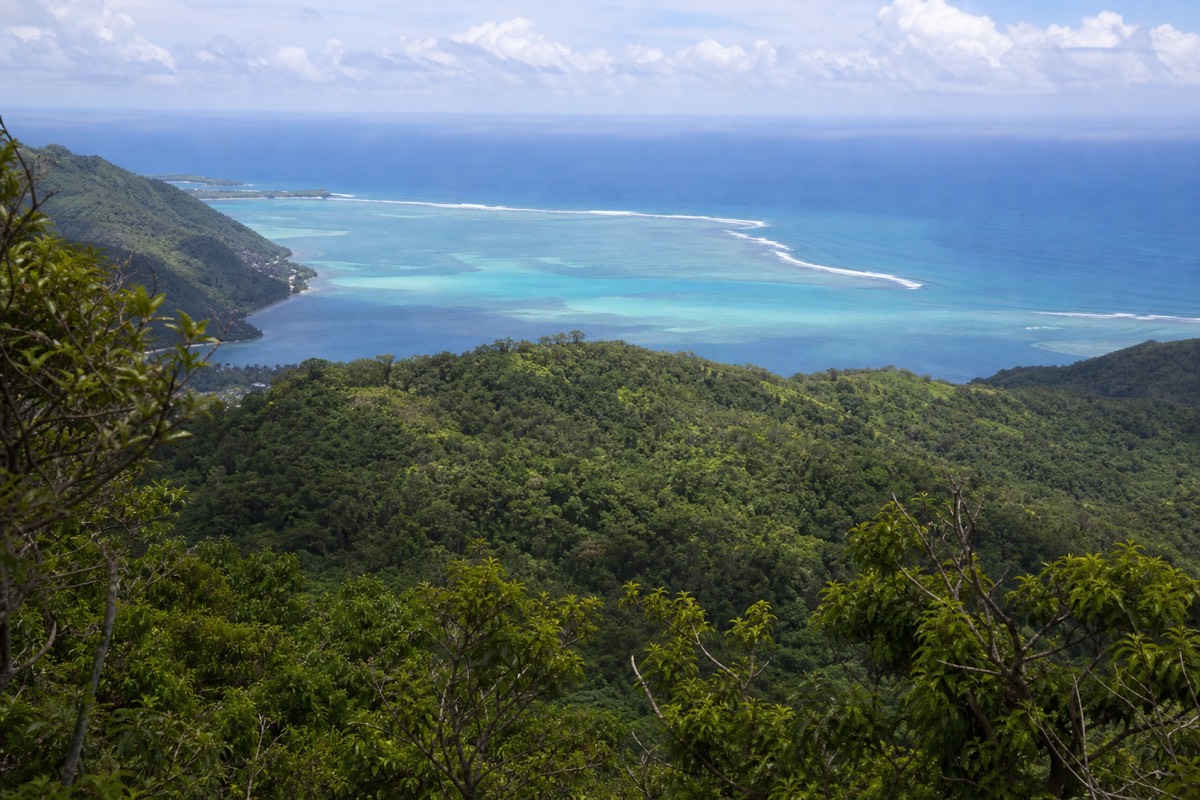 The mangrove tunnel near Oak Ridge on Roatán's east end