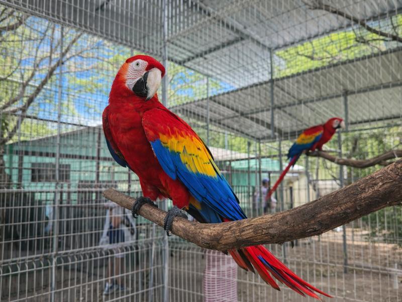 Roatán Private Day Tour – Snorkeling, Wildlife Sanctuary & West Bay Relaxation