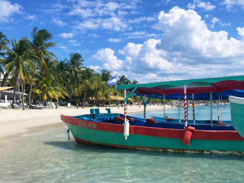 Super Man Zip Line, Monkey & Sloth Sanctuary + Beach Tour in Roatán