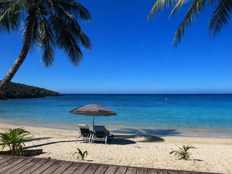 Roatán Monkey & Sloth Sanctuary Visit + Snorkel Experience